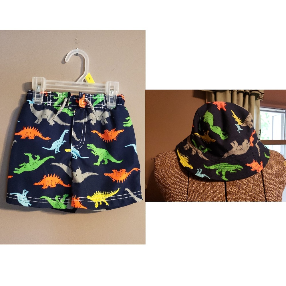 Carter's Multi Colored Dino Swim Trunks And Hat